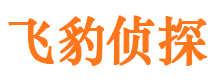 安定市私家调查